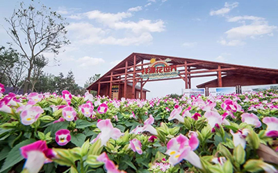 Z6·人生就是博(中国区)官方网站