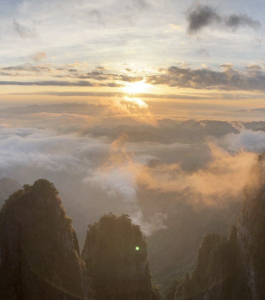 Z6·人生就是博(中国区)官方网站